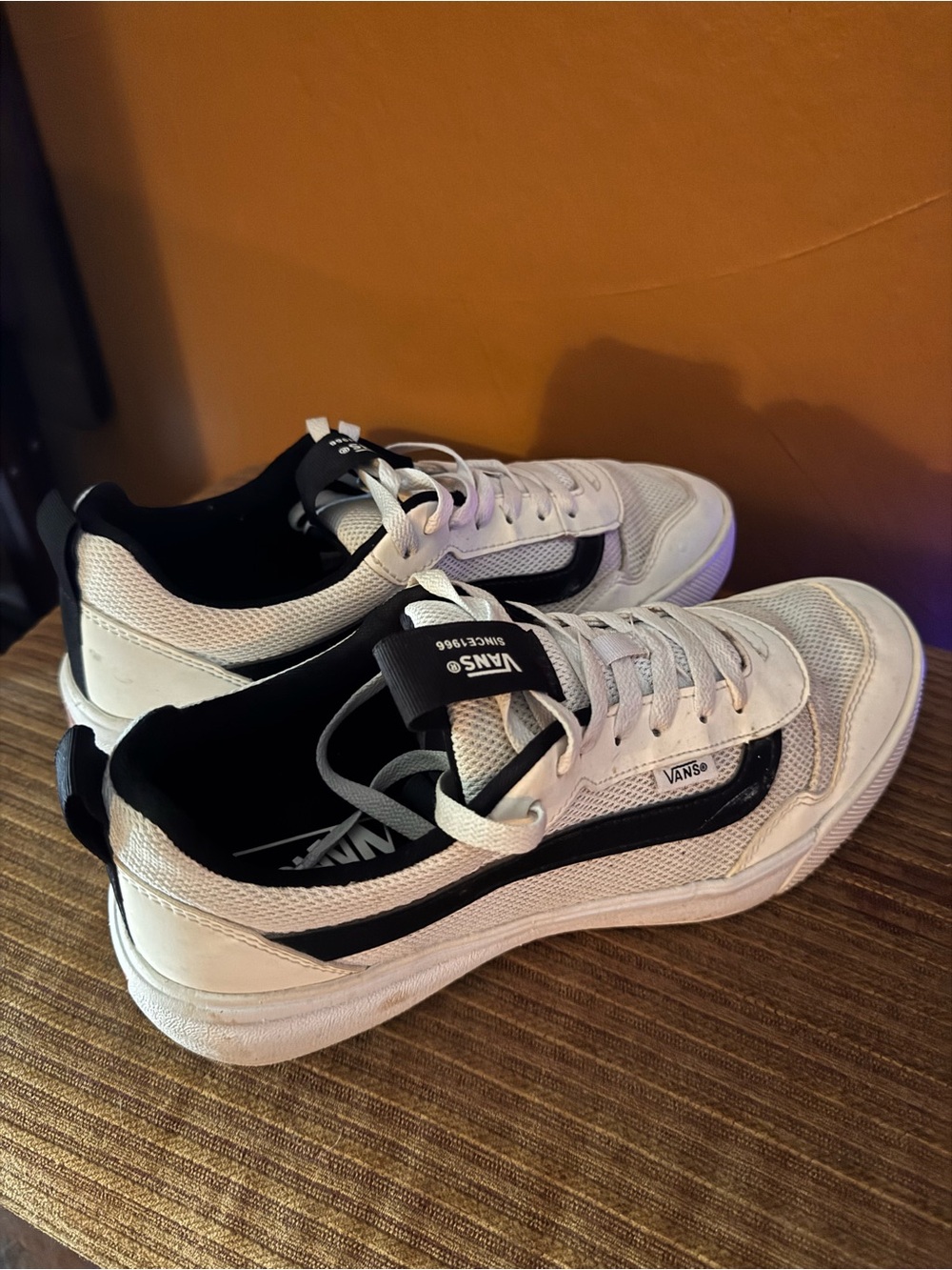 Vans White and Black Skate-Inspired Low Top Sneakers